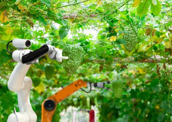 Robotics in IoT farming