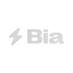 Bia - customer of our electronic product design company